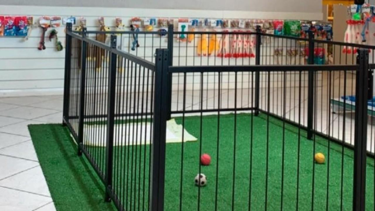 gôndolas e prateleiras para loja de rações, coleiras, petshop e agropecuárias